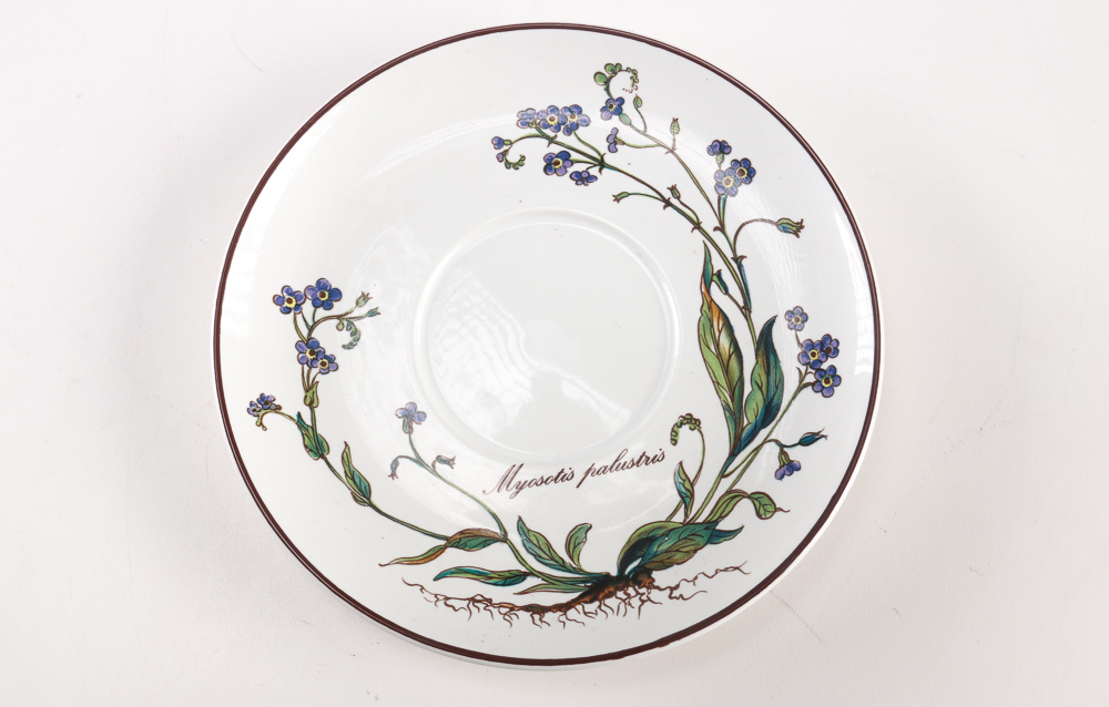 Villeroy and Boch "Botanica" Dishes