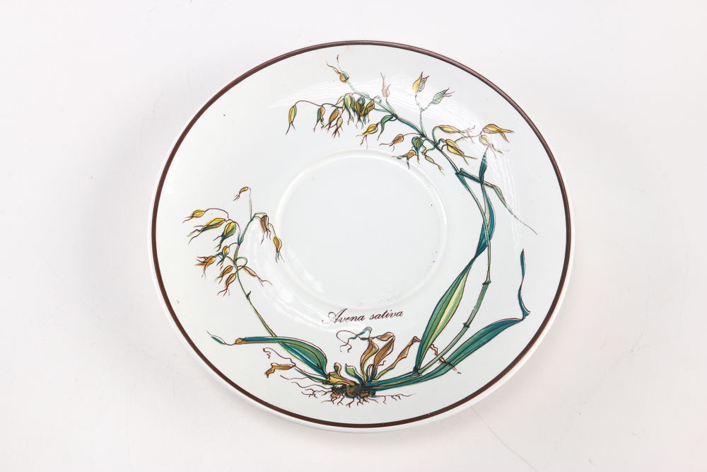 Villeroy and Boch "Botanica" Dishes