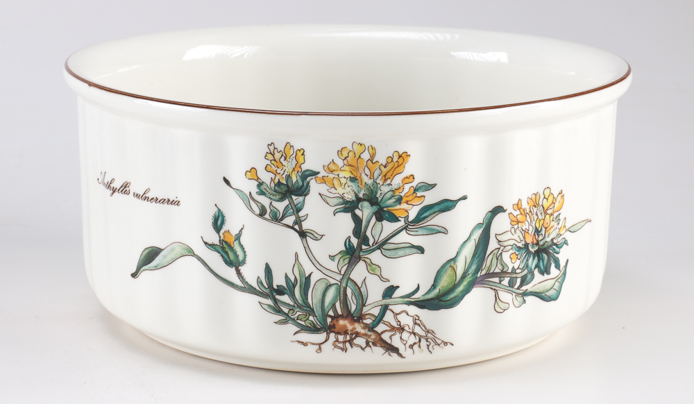 Villeroy and Boch "Botanica" Dishes