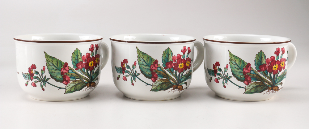 Villeroy and Boch "Botanica" Dishes