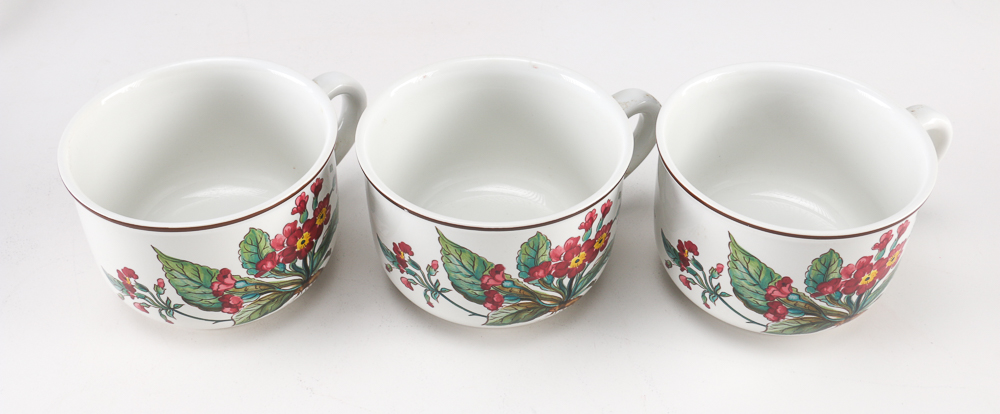 Villeroy and Boch "Botanica" Dishes