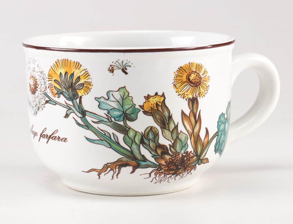 Villeroy and Boch "Botanica" Dishes
