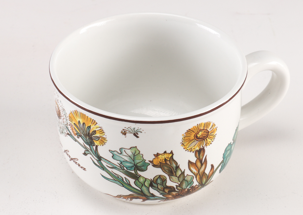 Villeroy and Boch "Botanica" Dishes