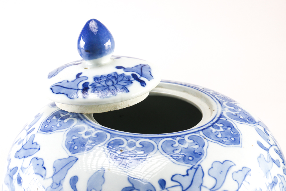 Collection of Chinese Blue and White Vases