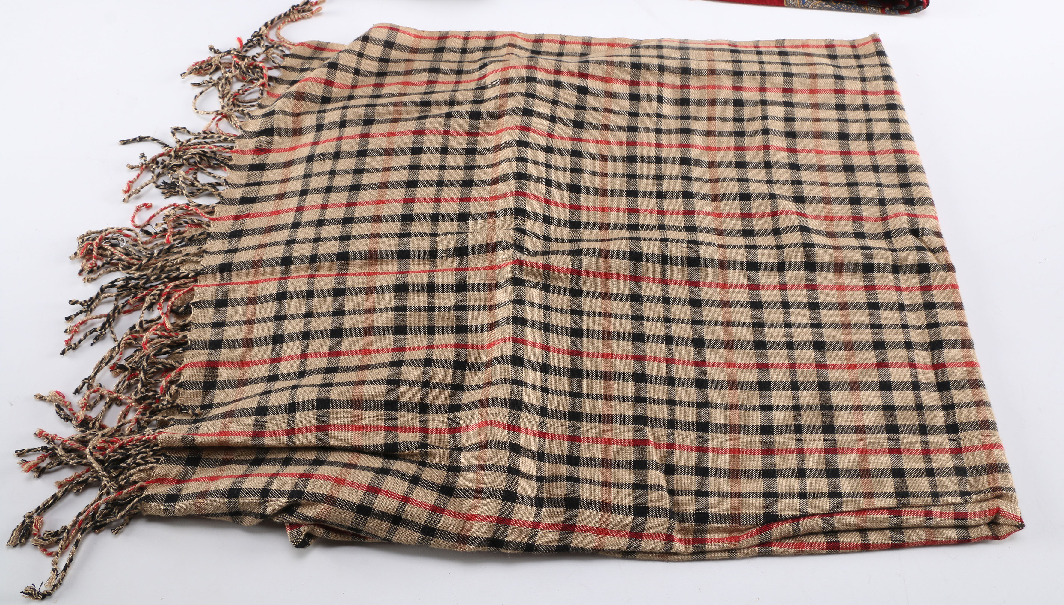 Assortment of Women's Scarves