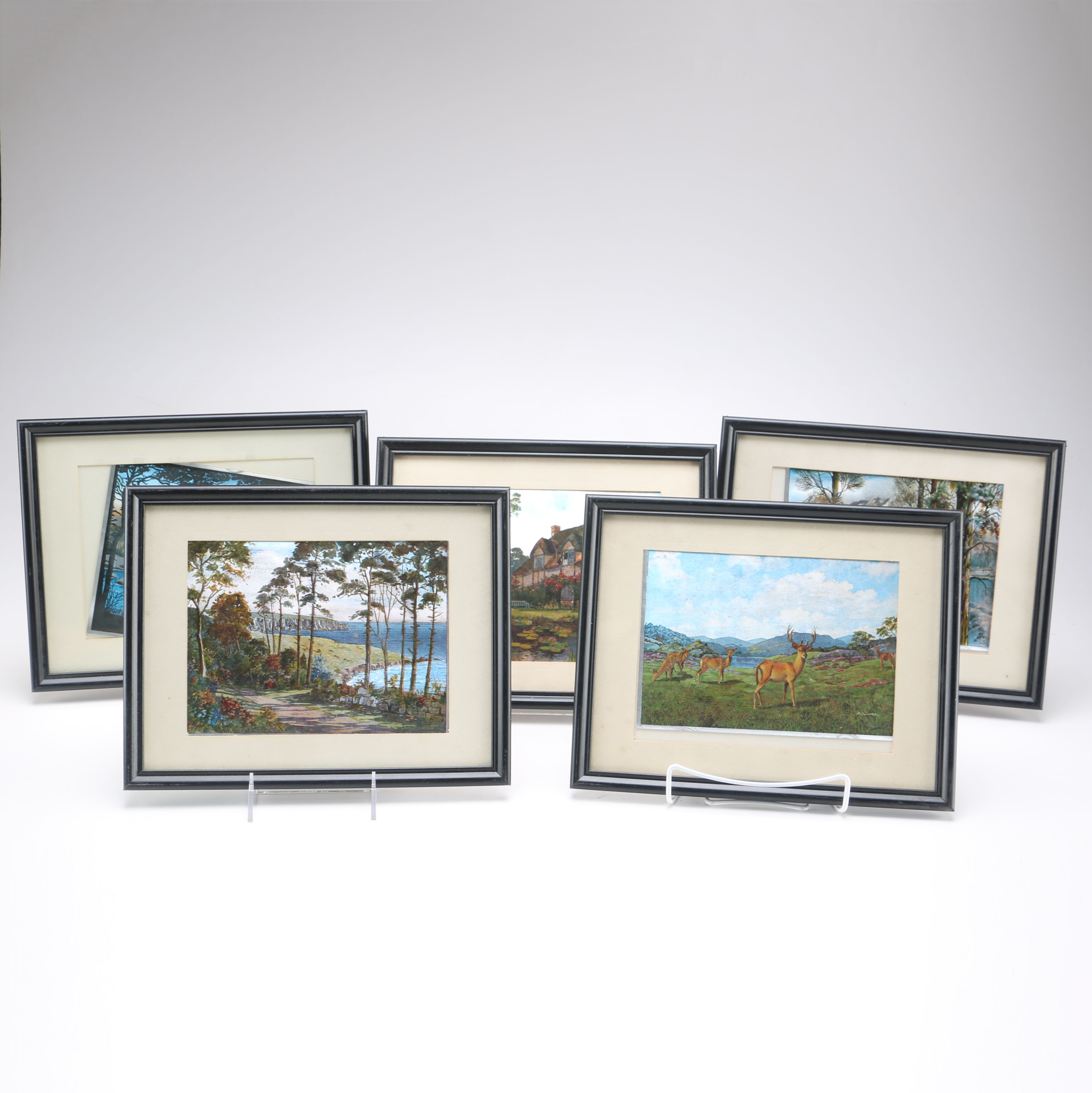 Collection of Nature Themed Prints on Foil