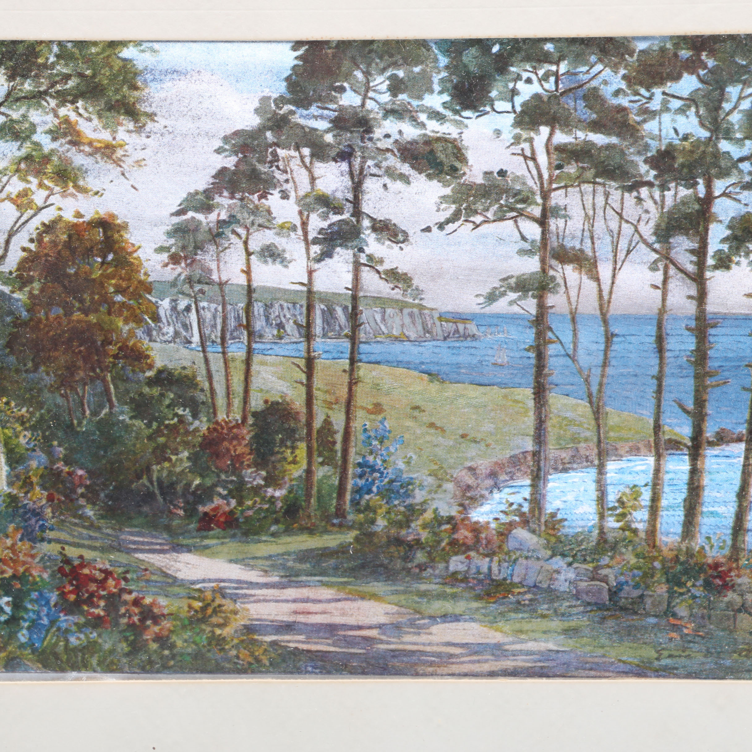 Collection of Nature Themed Prints on Foil