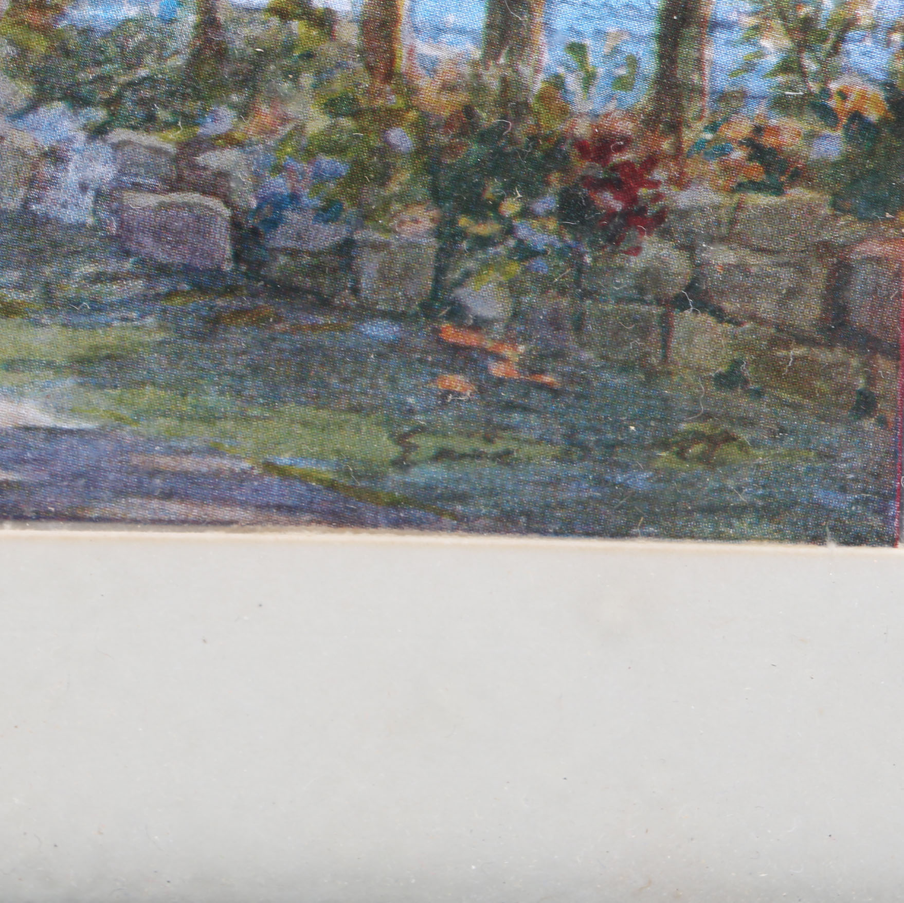 Collection of Nature Themed Prints on Foil