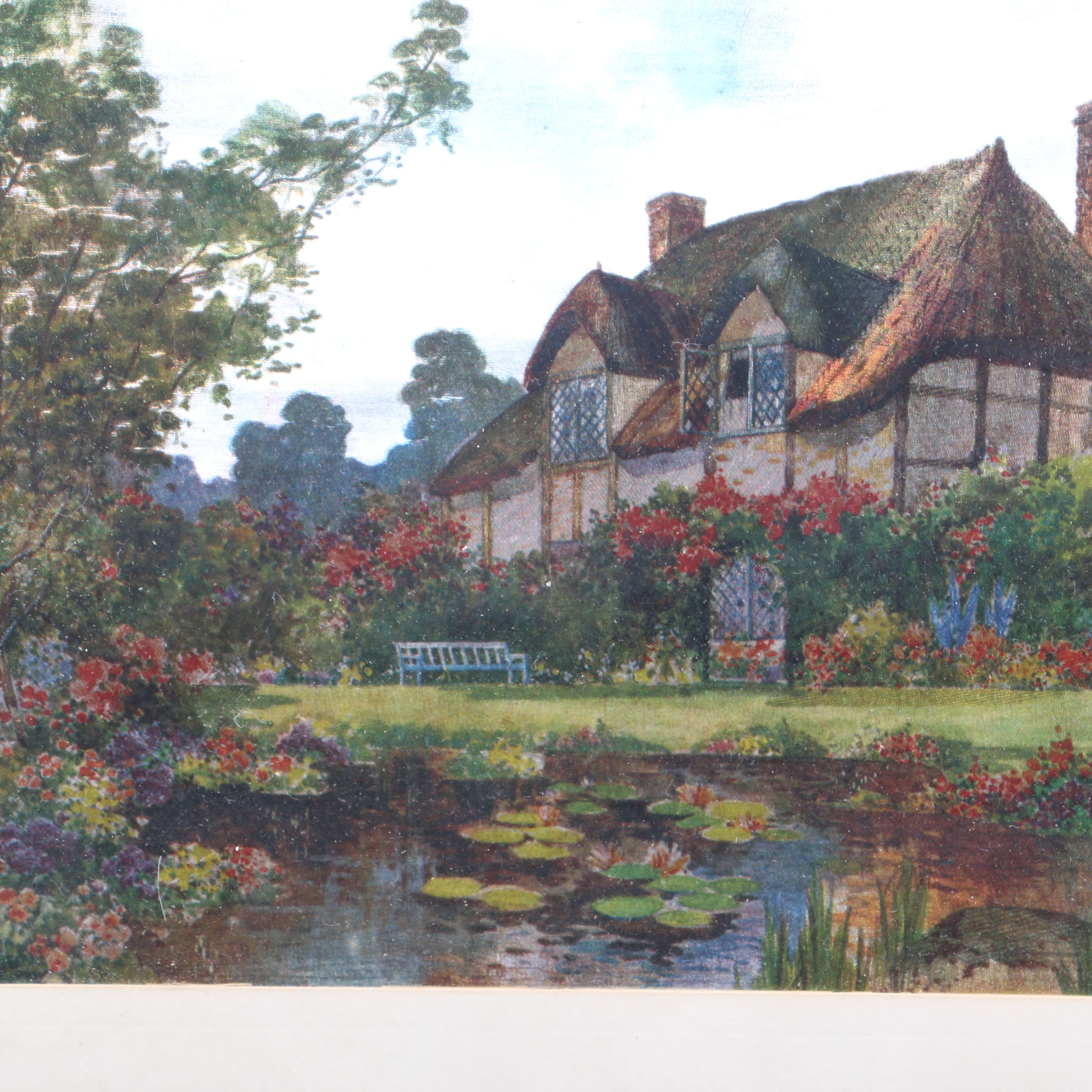 Collection of Nature Themed Prints on Foil