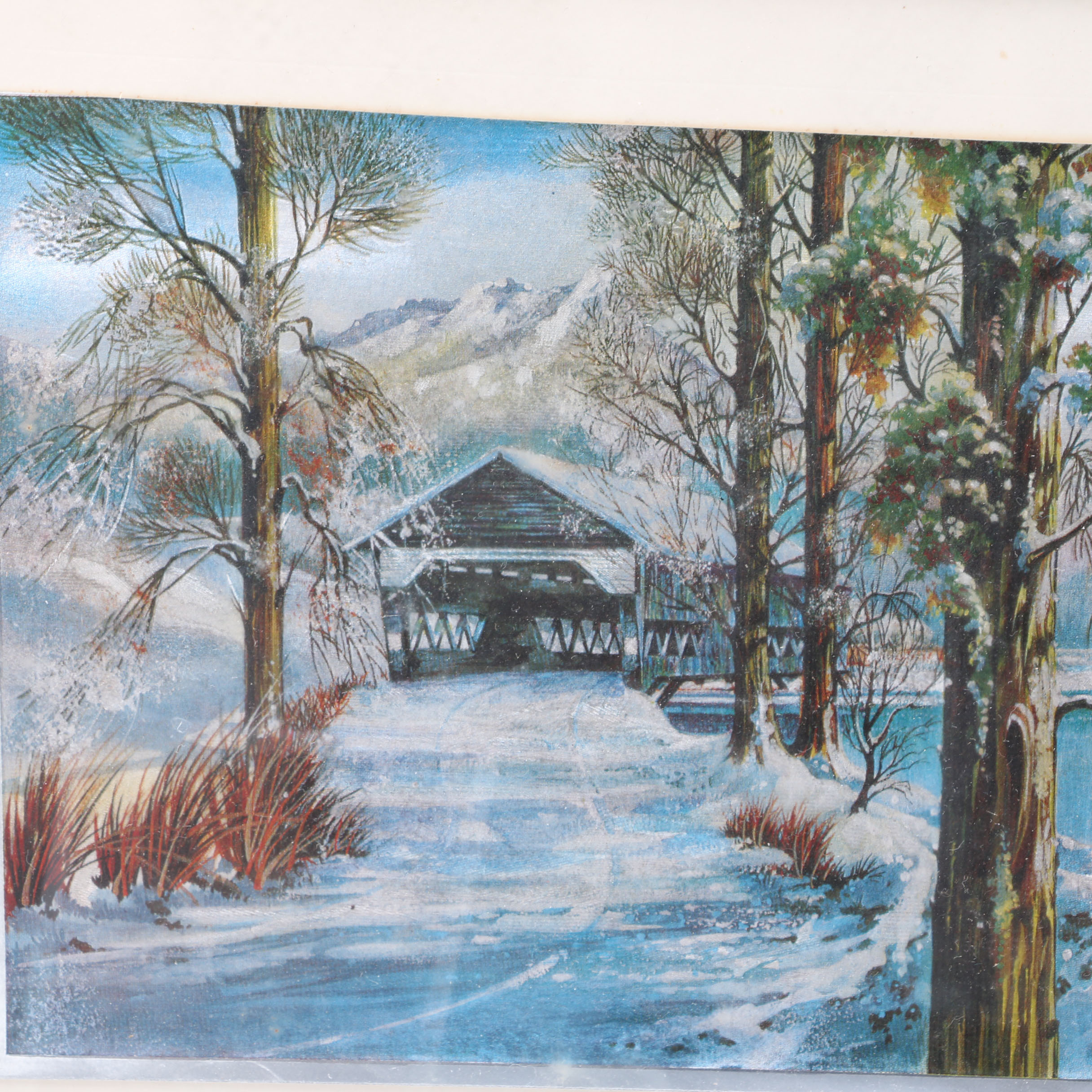 Collection of Nature Themed Prints on Foil