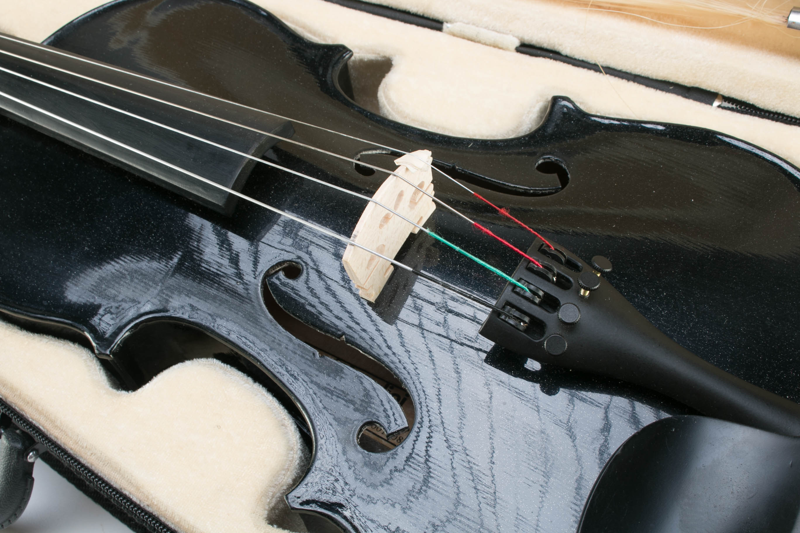 Cecilio Viola with Travel Case