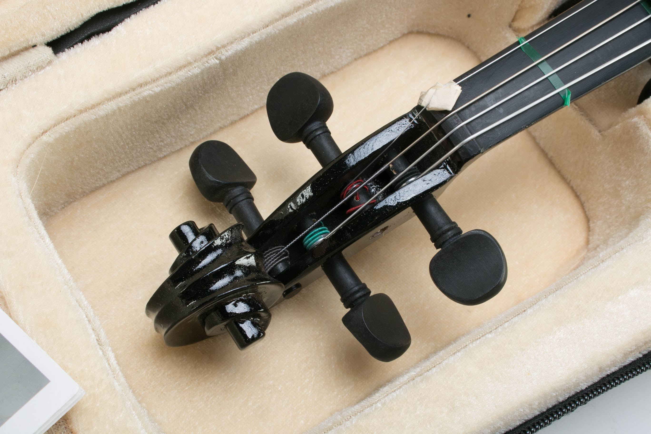 Cecilio Viola with Travel Case