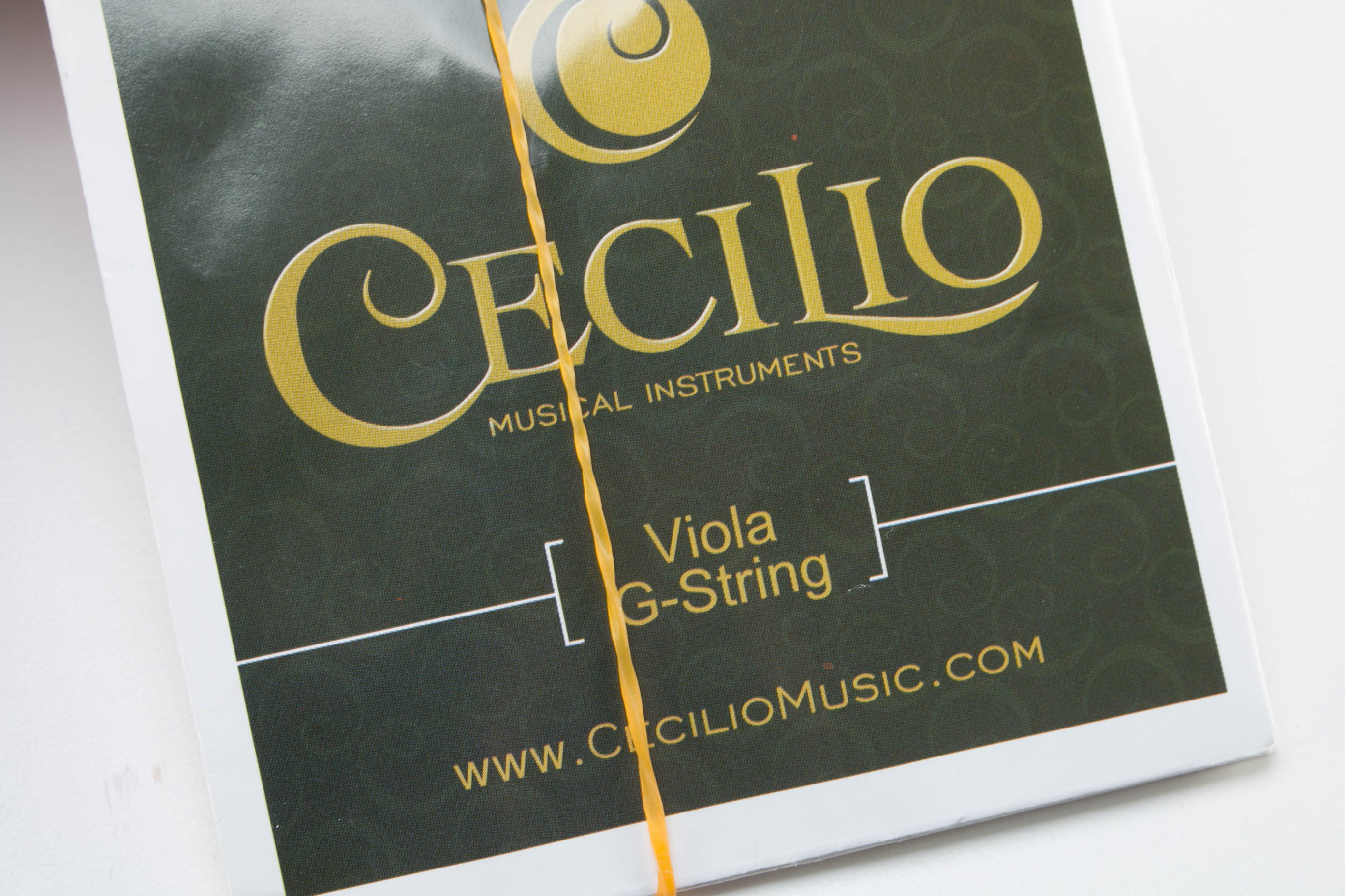 Cecilio Viola with Travel Case