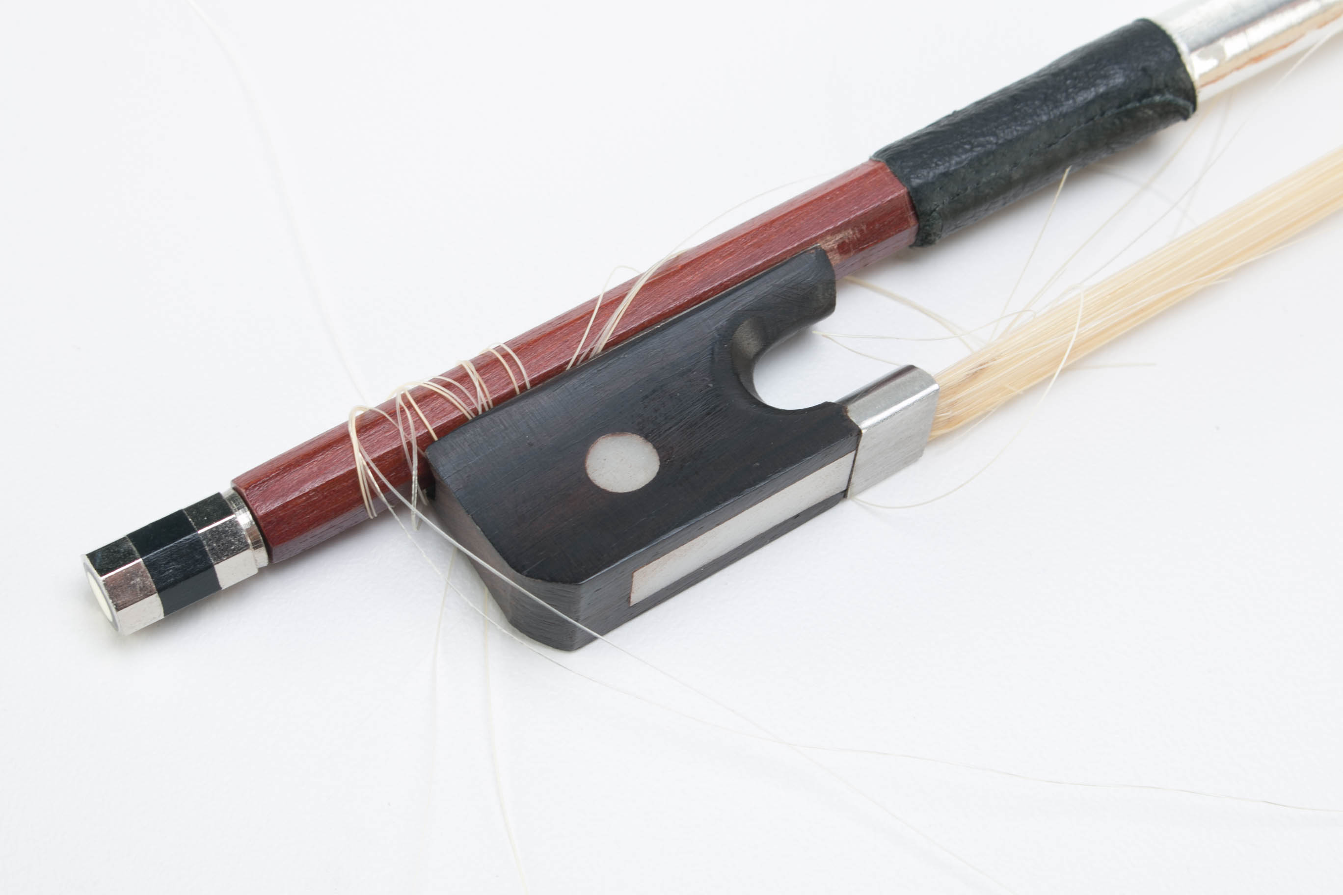 Cecilio Viola with Travel Case