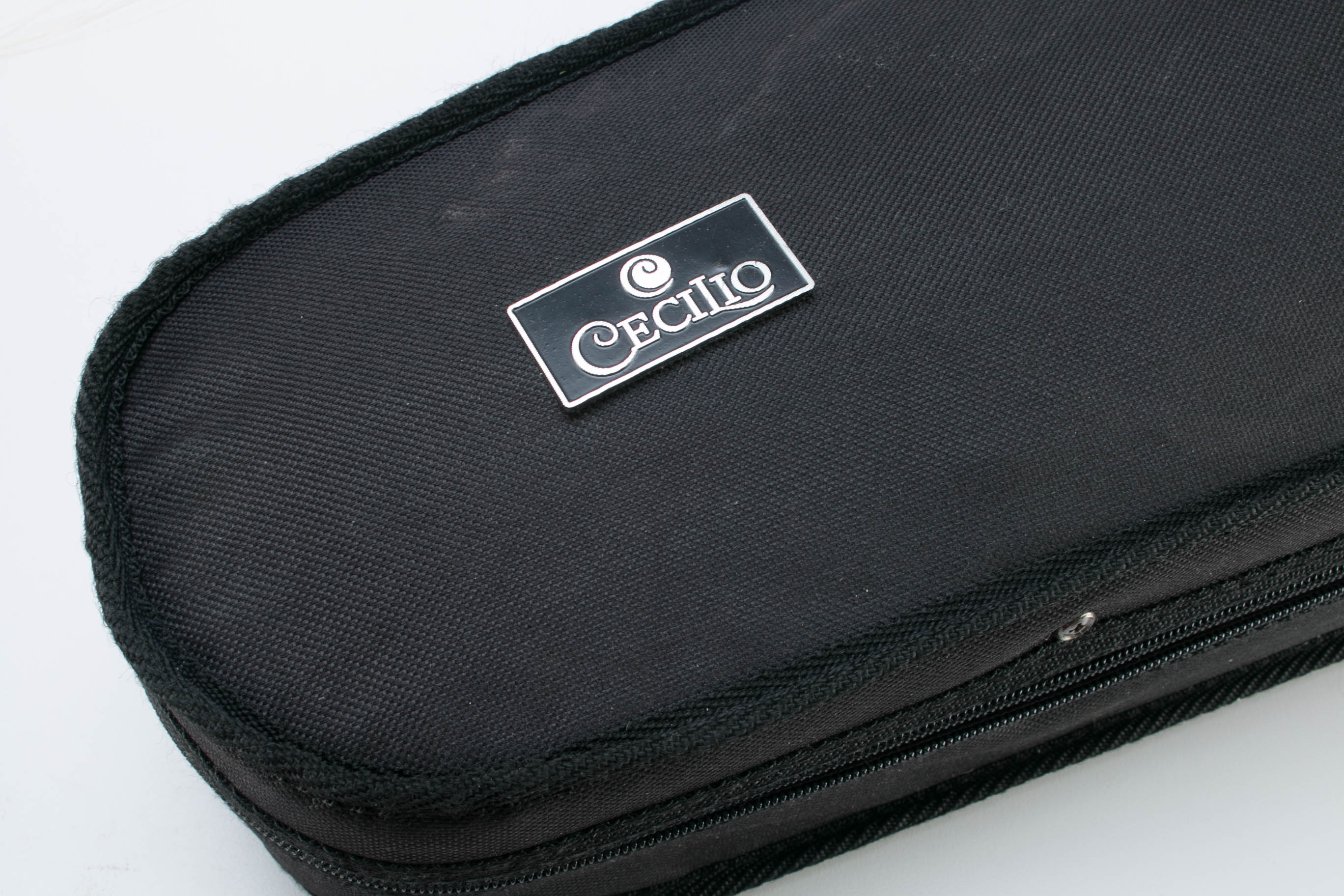 Cecilio Viola with Travel Case