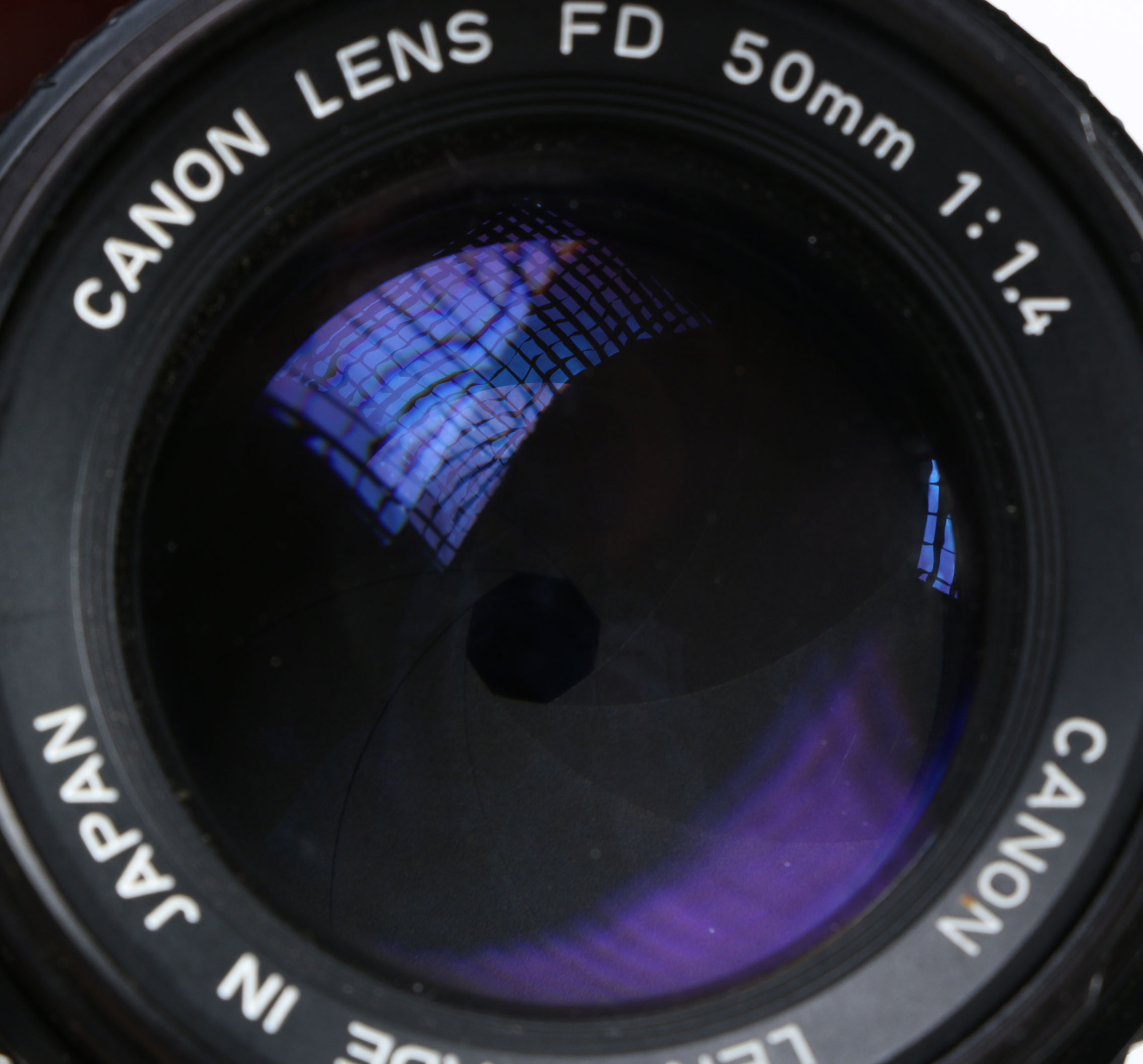 Eighteen-Piece Collection of Cameras and Accessories