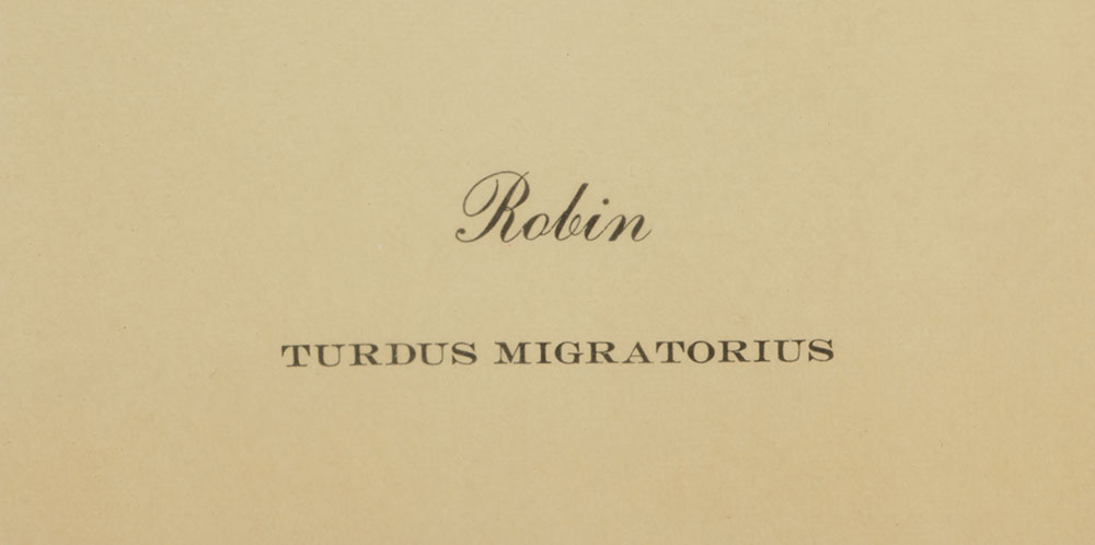 Pair of Richard Sloan Offset Lithograph of Birds