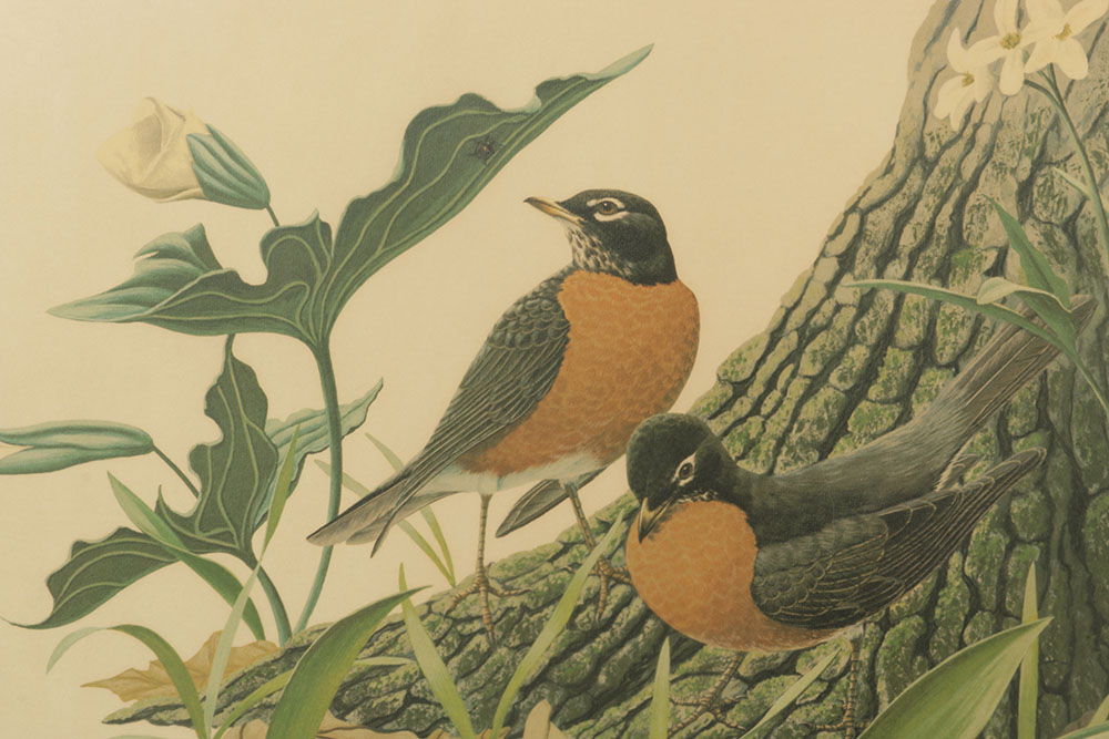 Pair of Richard Sloan Offset Lithograph of Birds