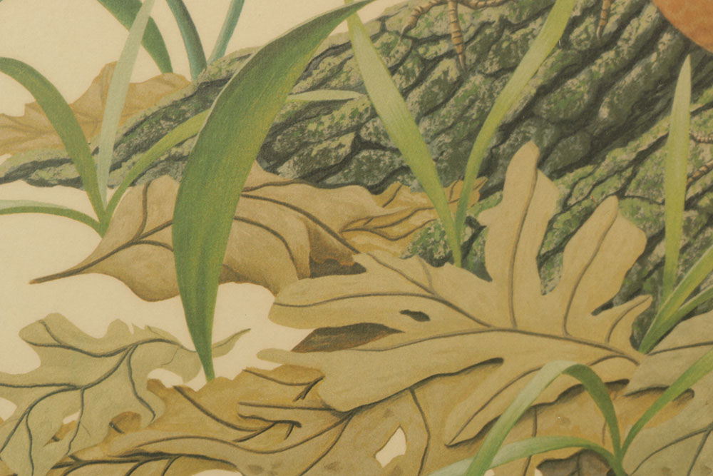 Pair of Richard Sloan Offset Lithograph of Birds