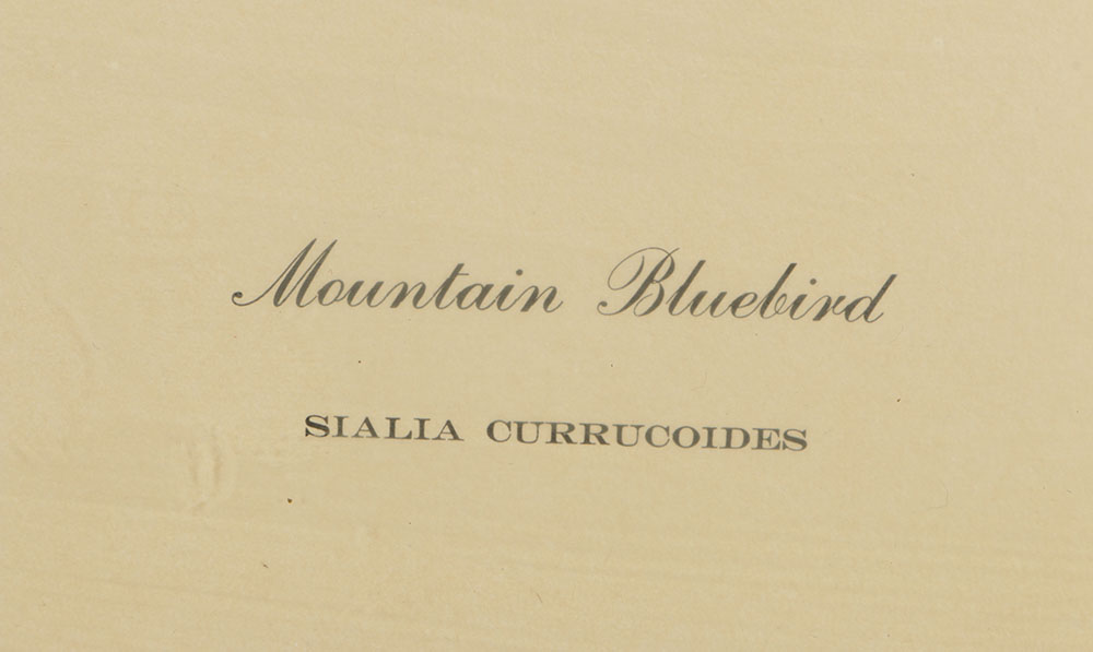 Pair of Richard Sloan Offset Lithograph of Birds