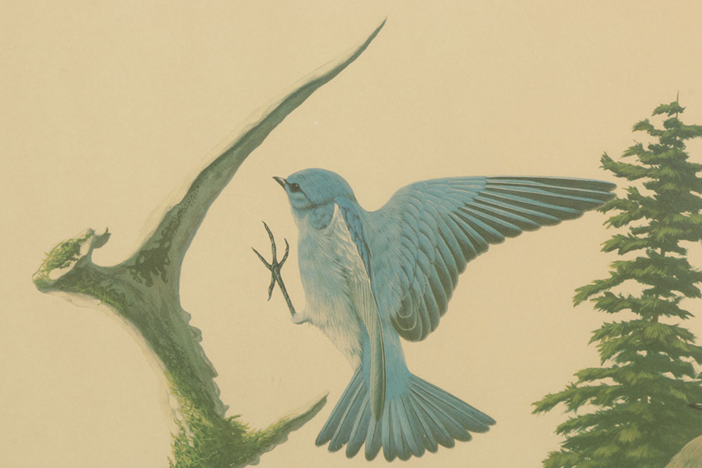 Pair of Richard Sloan Offset Lithograph of Birds