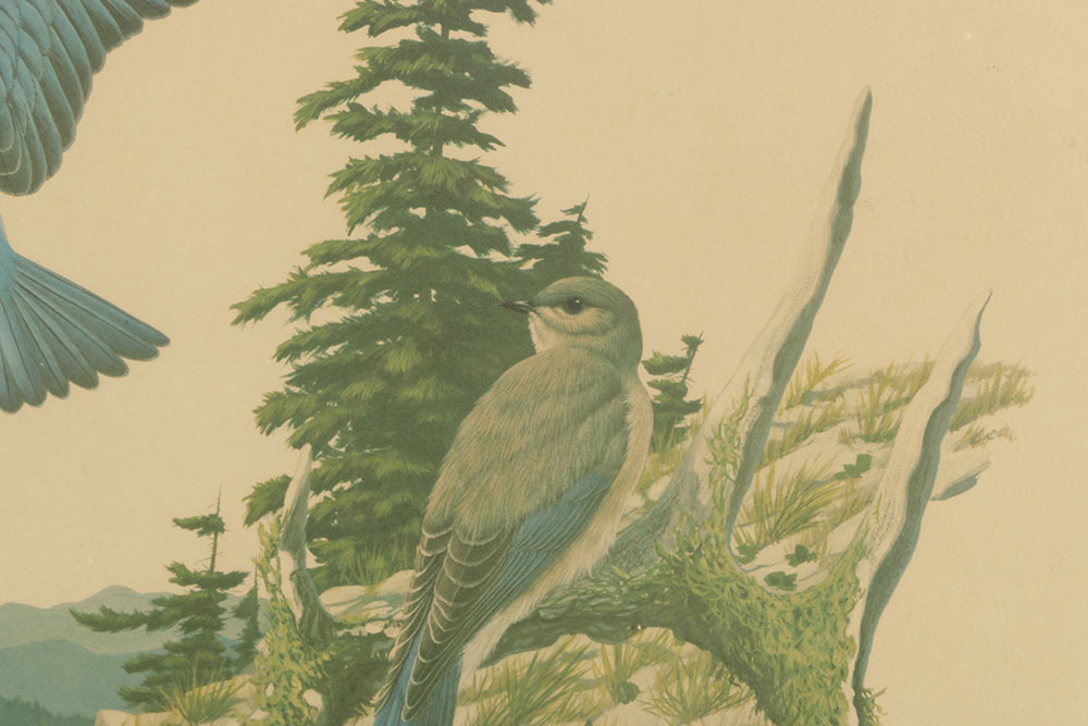 Pair of Richard Sloan Offset Lithograph of Birds