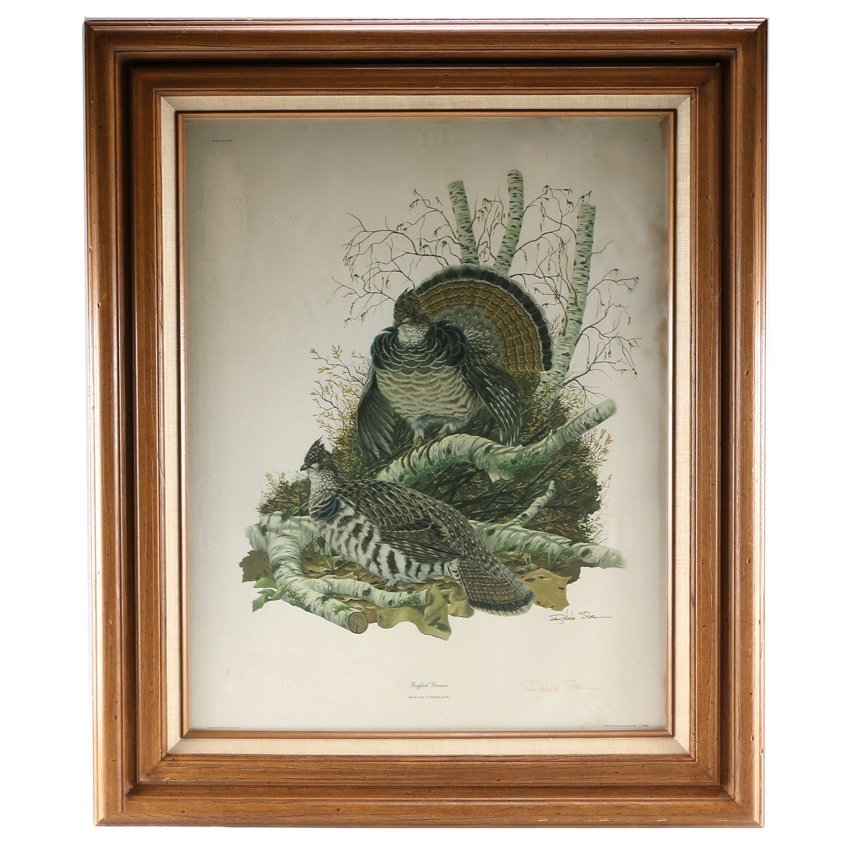 Ruffed Grouse Framed Giclee Print After Richard Sloan