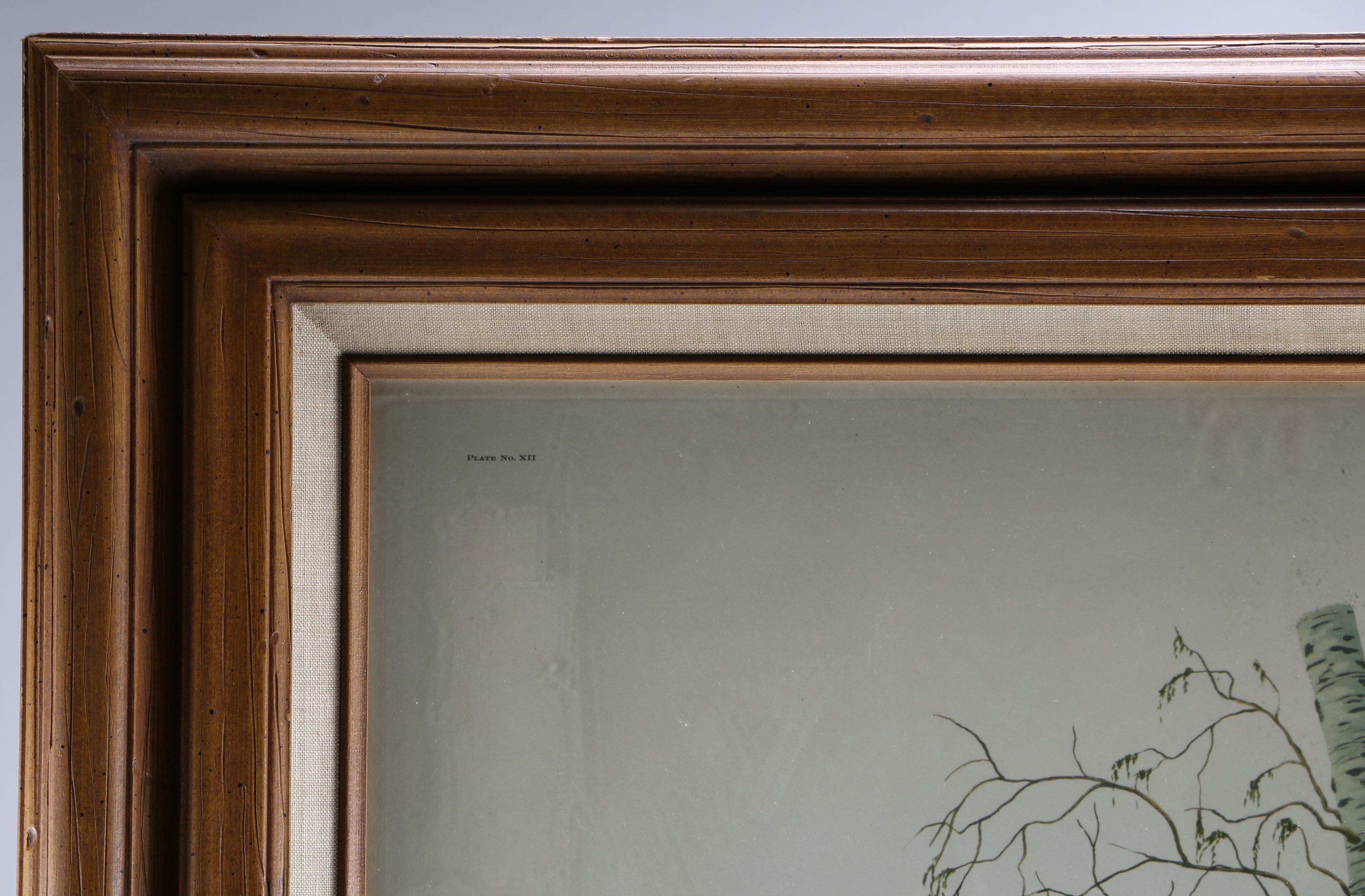 Ruffed Grouse Framed Giclee Print After Richard Sloan