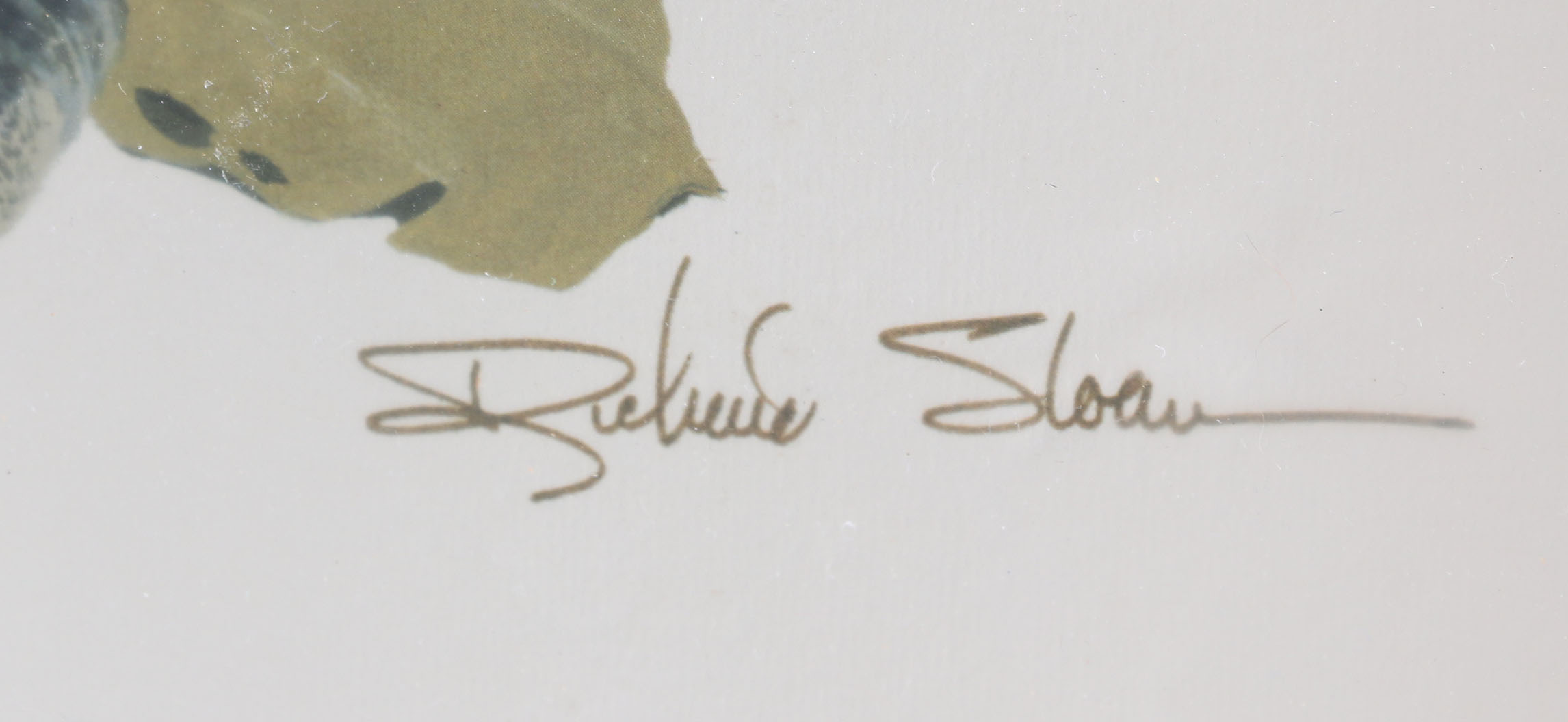 Ruffed Grouse Framed Giclee Print After Richard Sloan