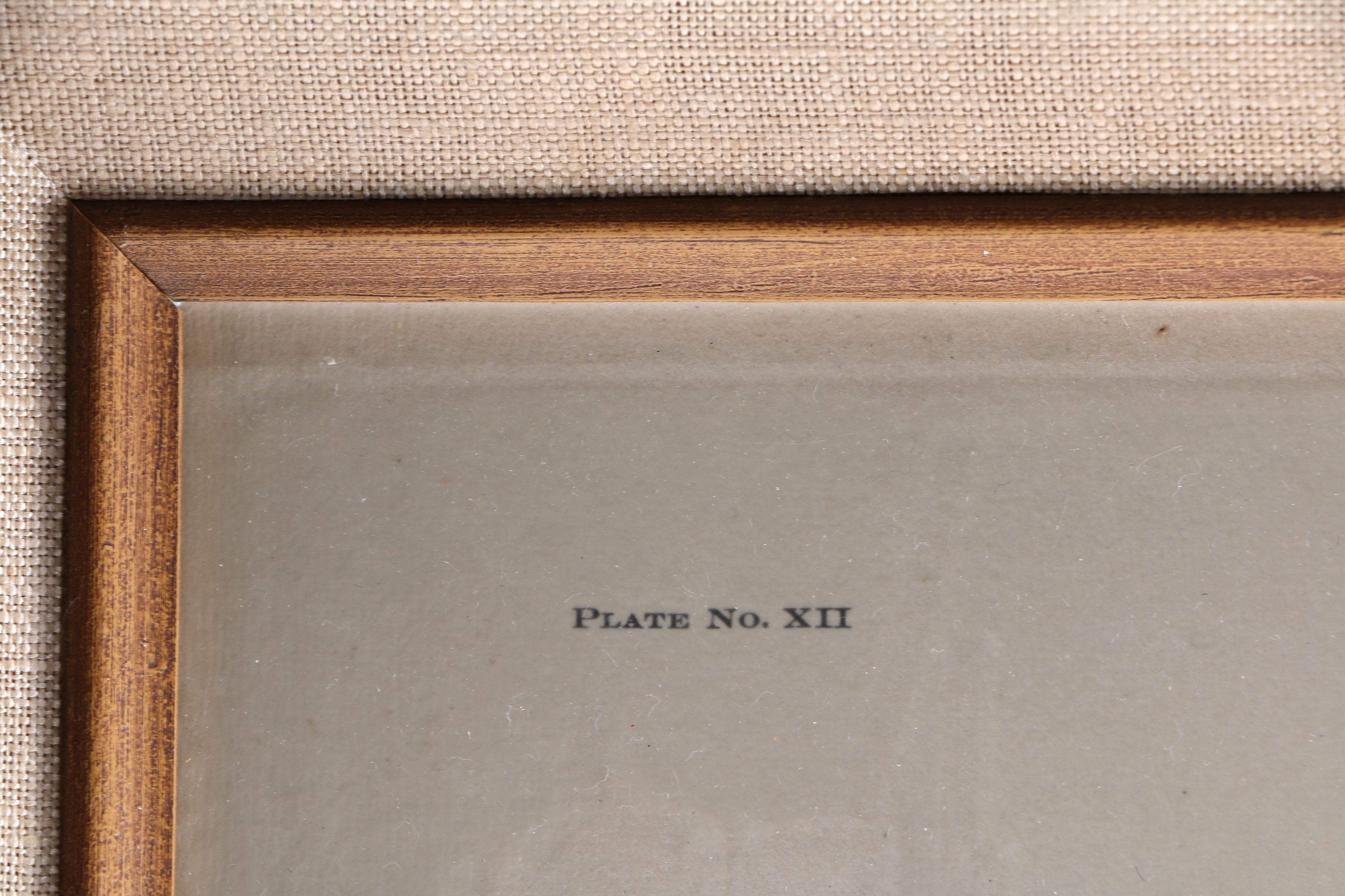 Ruffed Grouse Framed Giclee Print After Richard Sloan