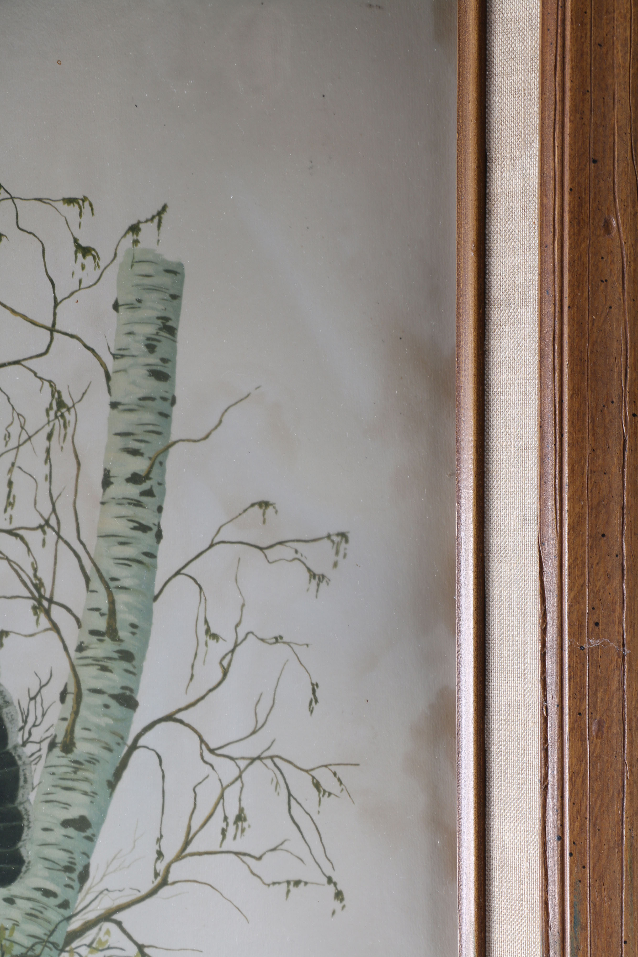 Ruffed Grouse Framed Giclee Print After Richard Sloan