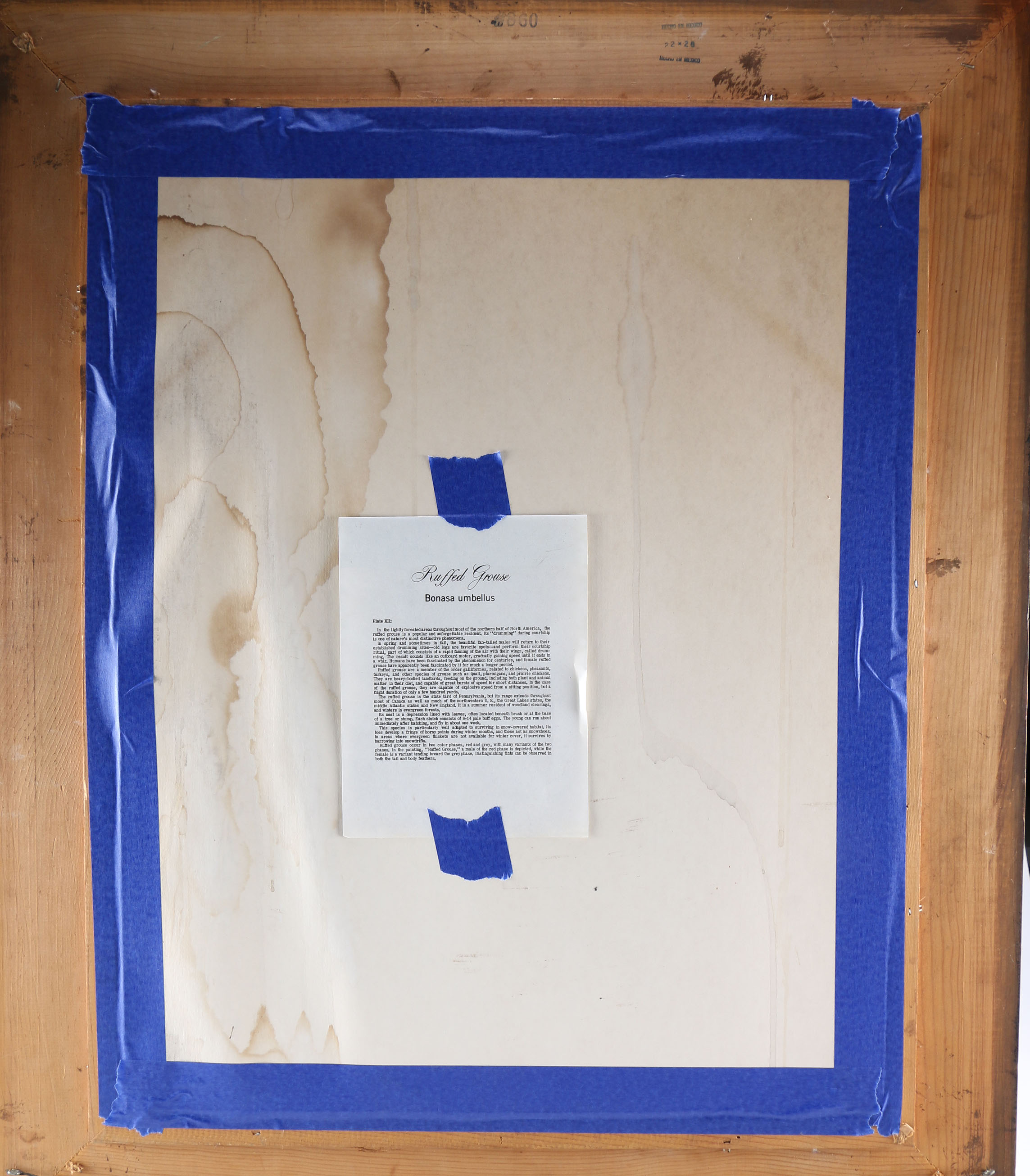 Ruffed Grouse Framed Giclee Print After Richard Sloan