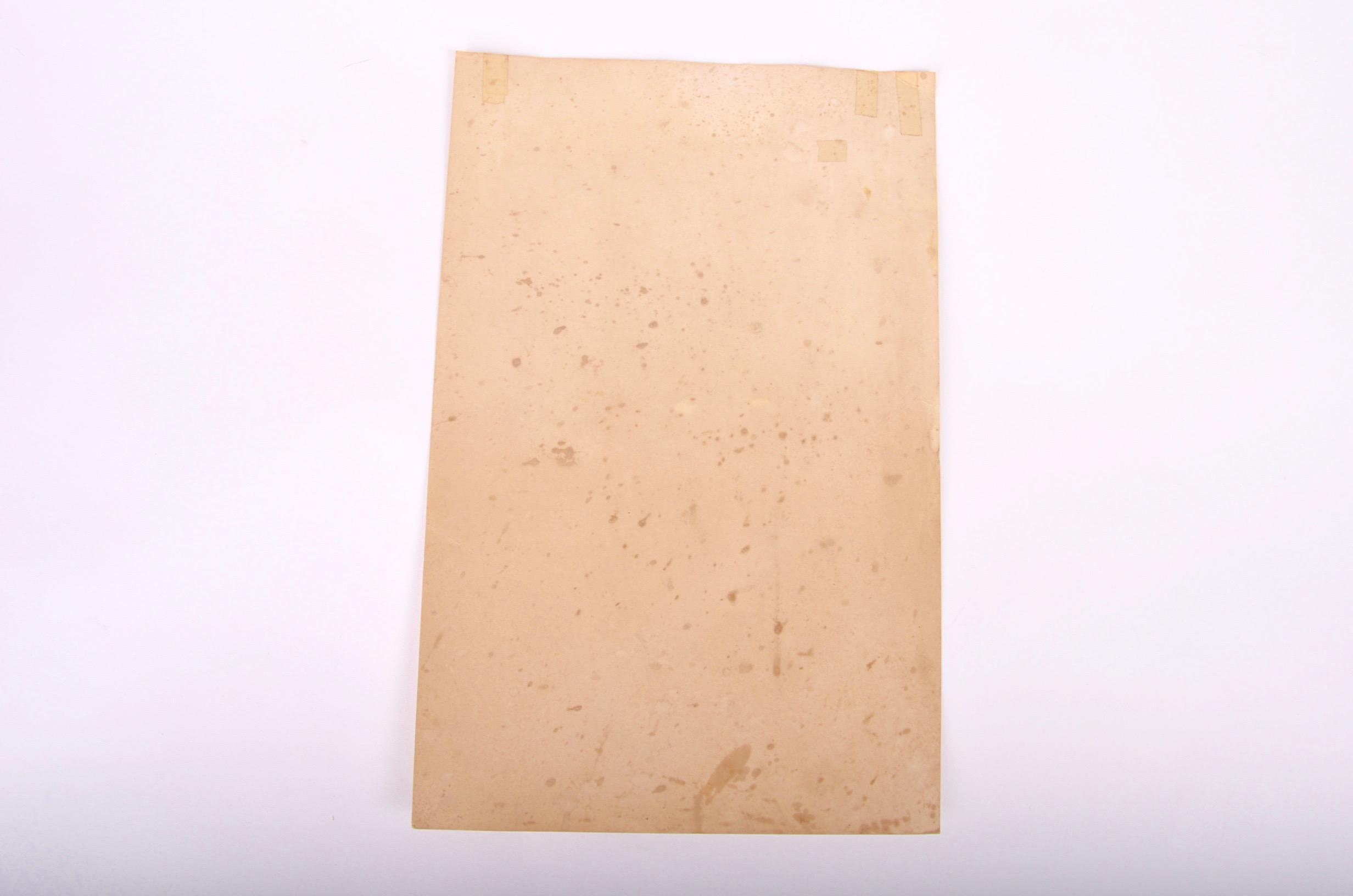 Willie Nelson Autographed Concert Poster