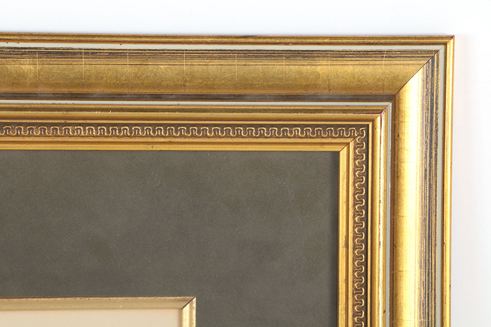 John Gould Hand-Tinted Lithograph "Psittacella Brehmii"