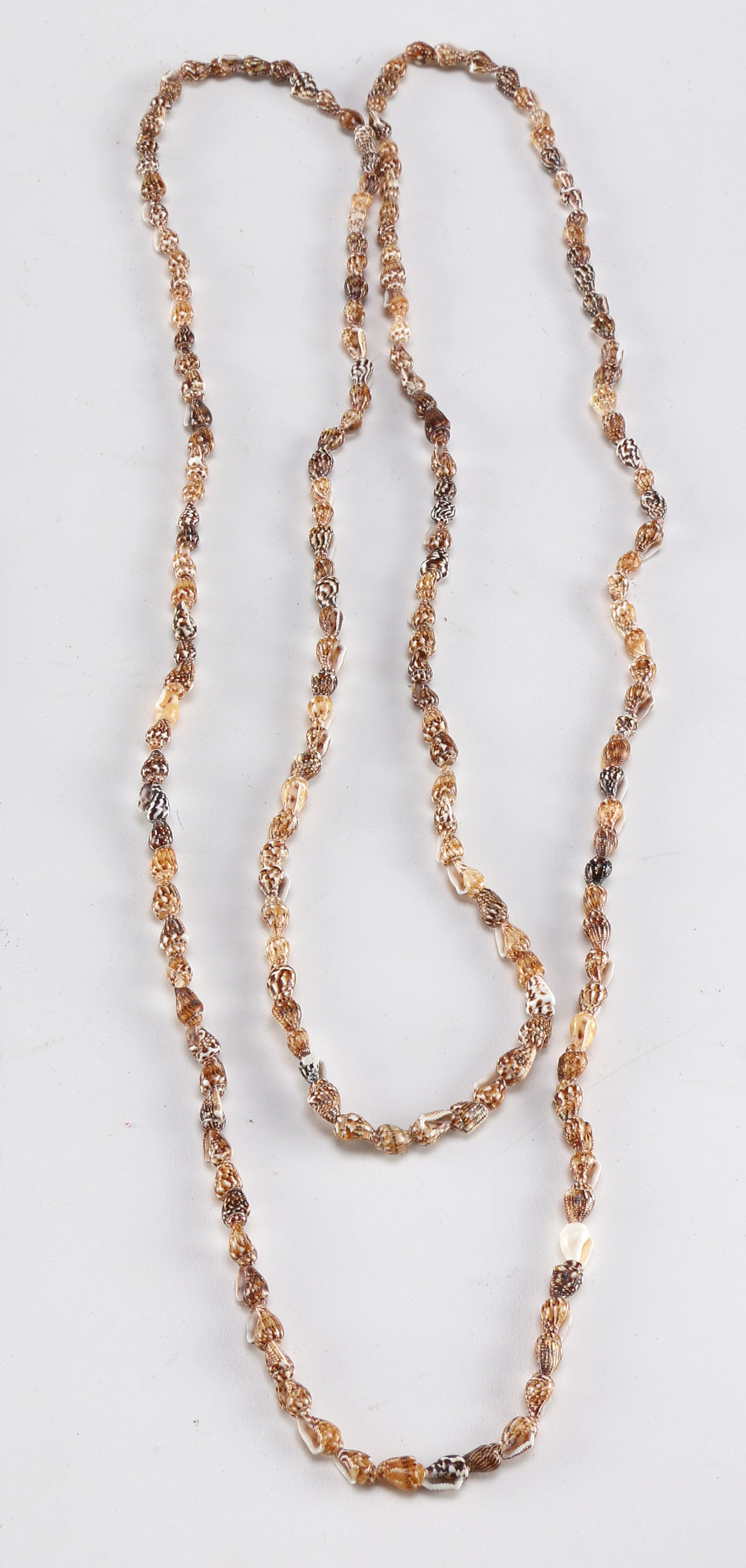 Collection of Seashell Necklaces