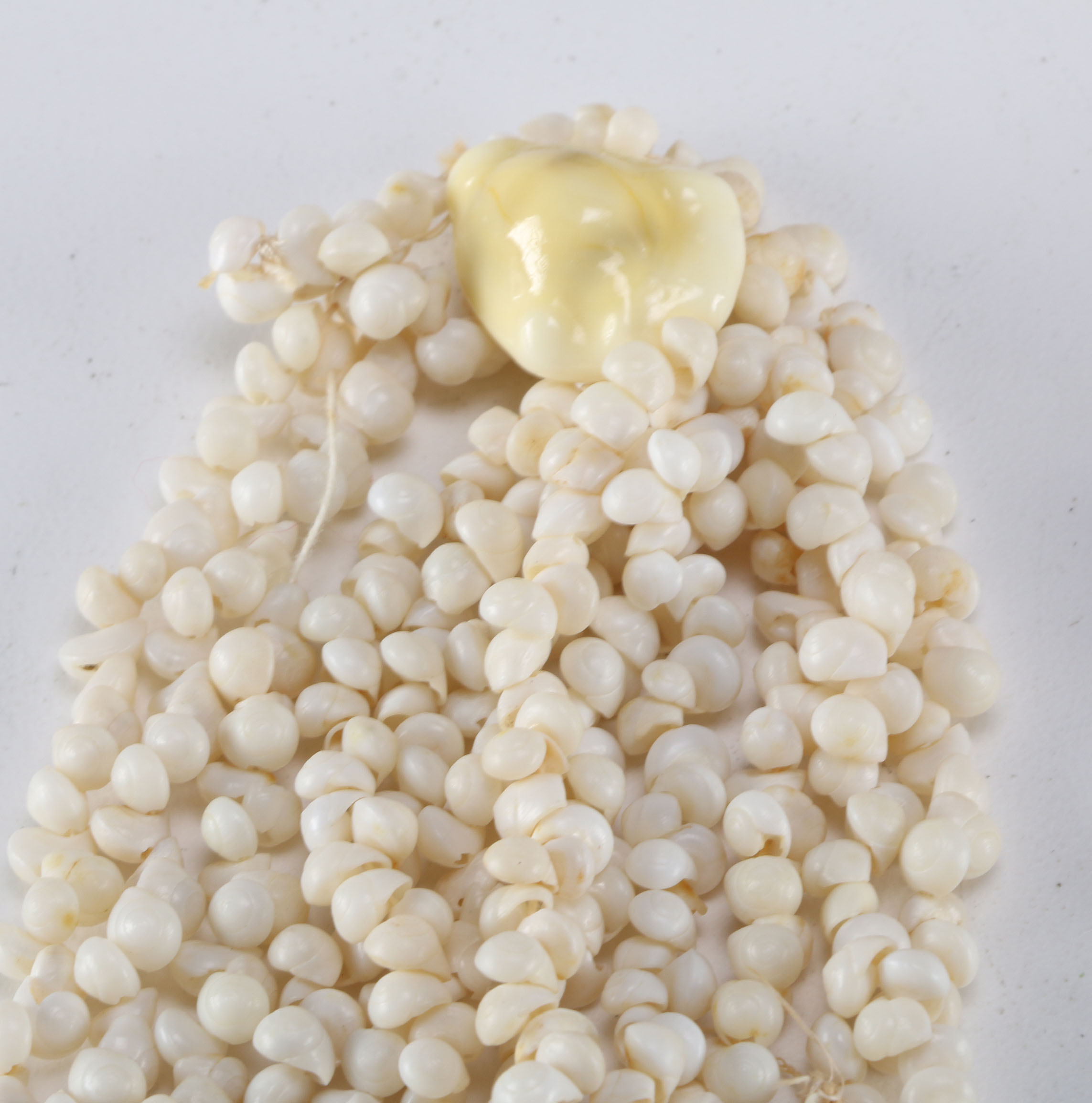 Collection of Seashell Necklaces