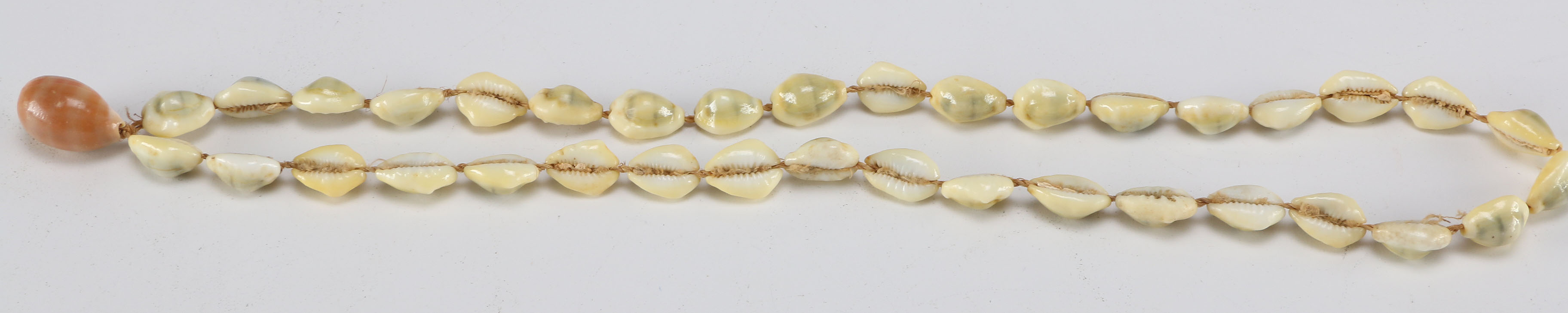 Collection of Seashell Necklaces