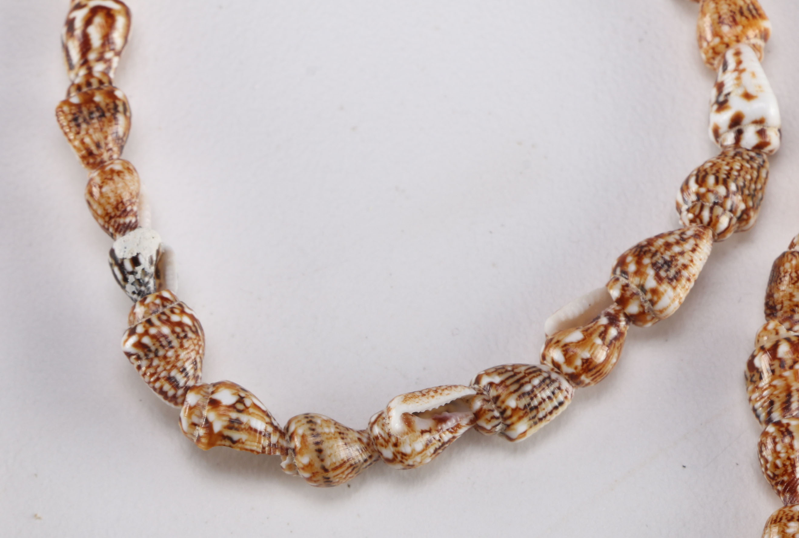 Collection of Seashell Necklaces