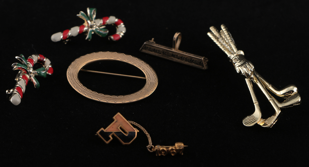 Assorted Costume Brooches and Pendants