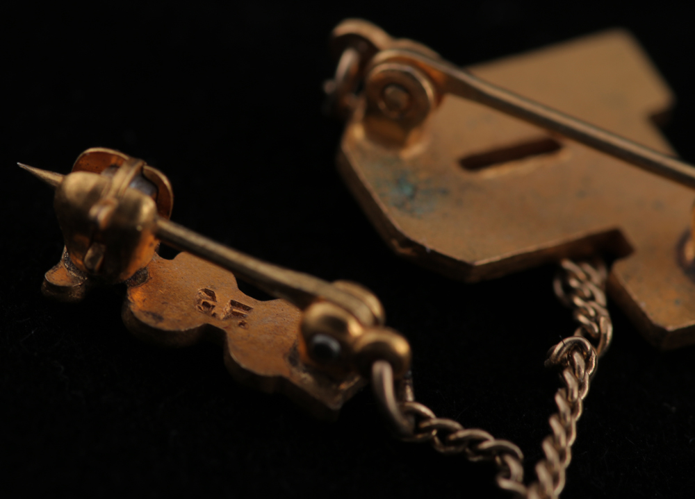 Assorted Costume Brooches and Pendants