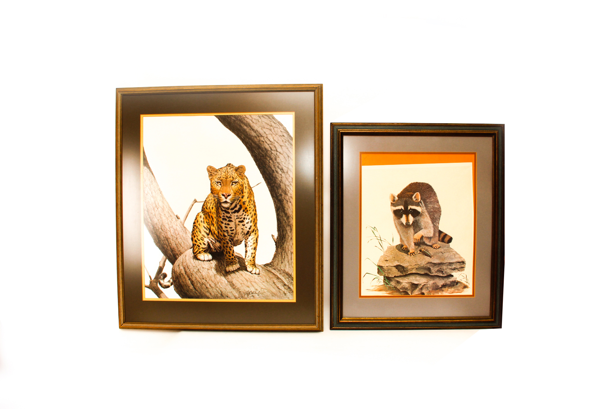 Pair of Wildlife Prints after Guy Coheleach