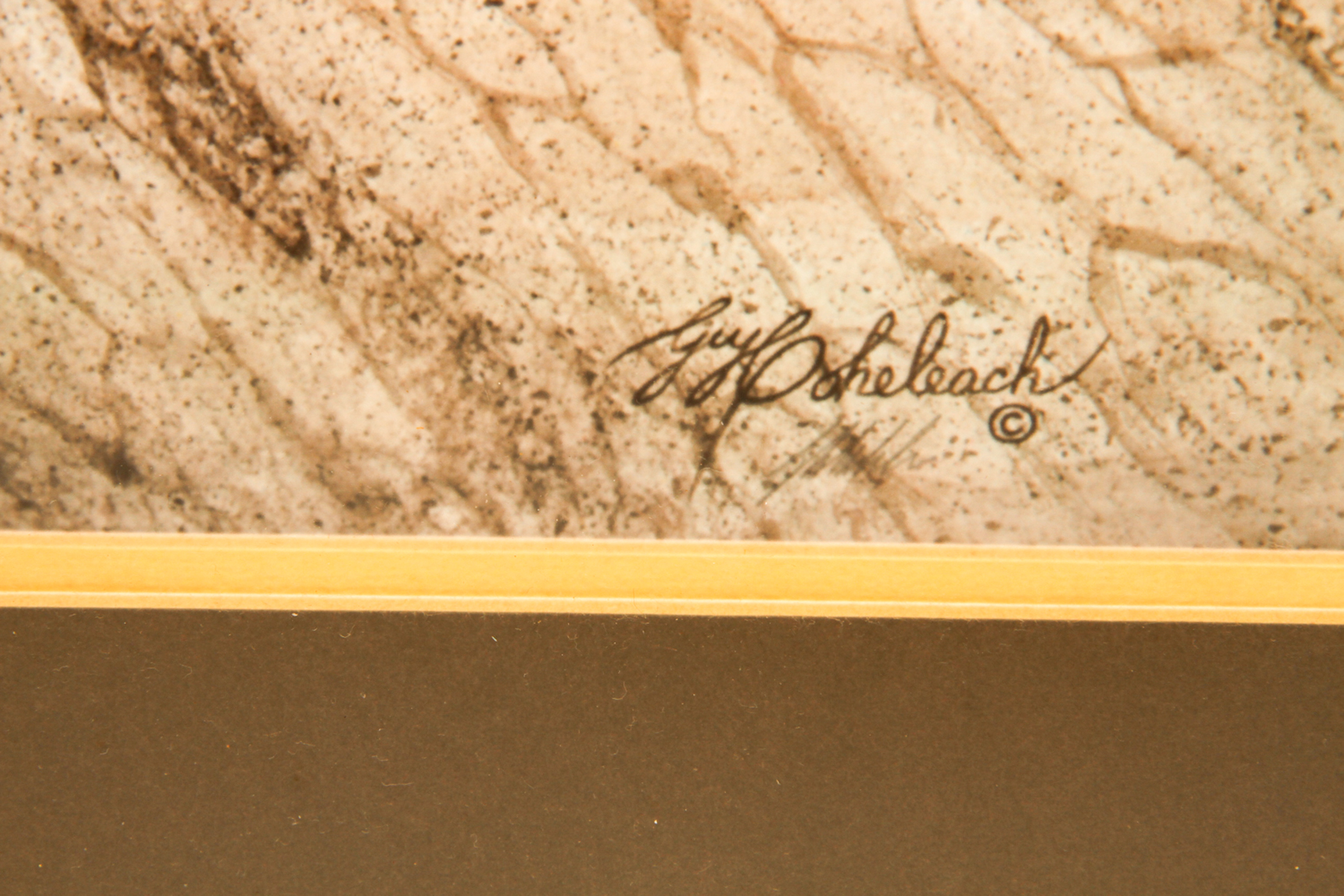 Pair of Wildlife Prints after Guy Coheleach