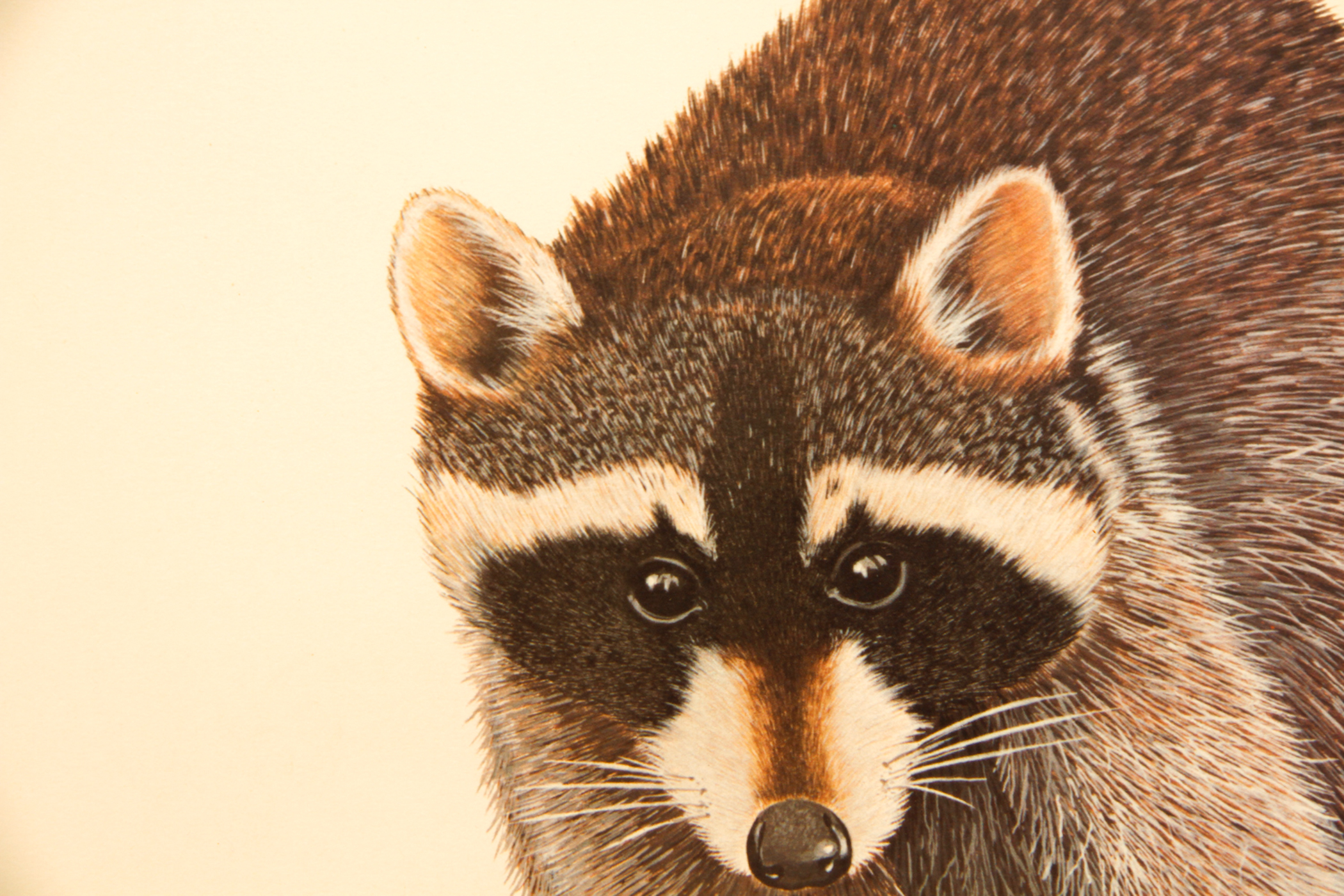 Pair of Wildlife Prints after Guy Coheleach