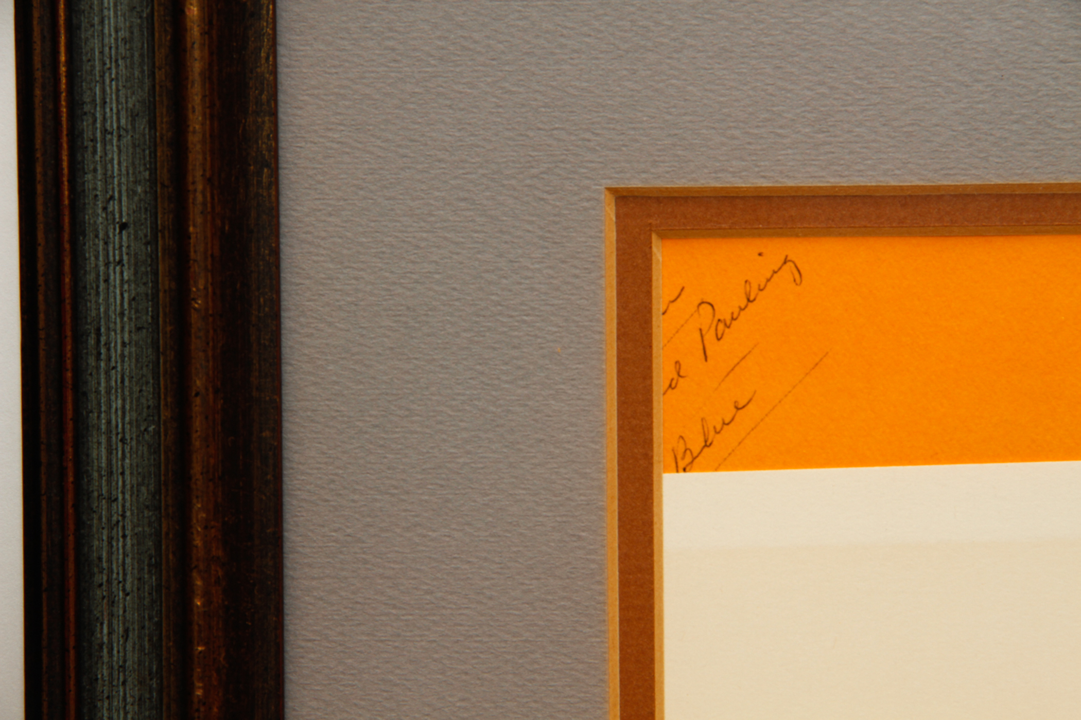 Pair of Wildlife Prints after Guy Coheleach