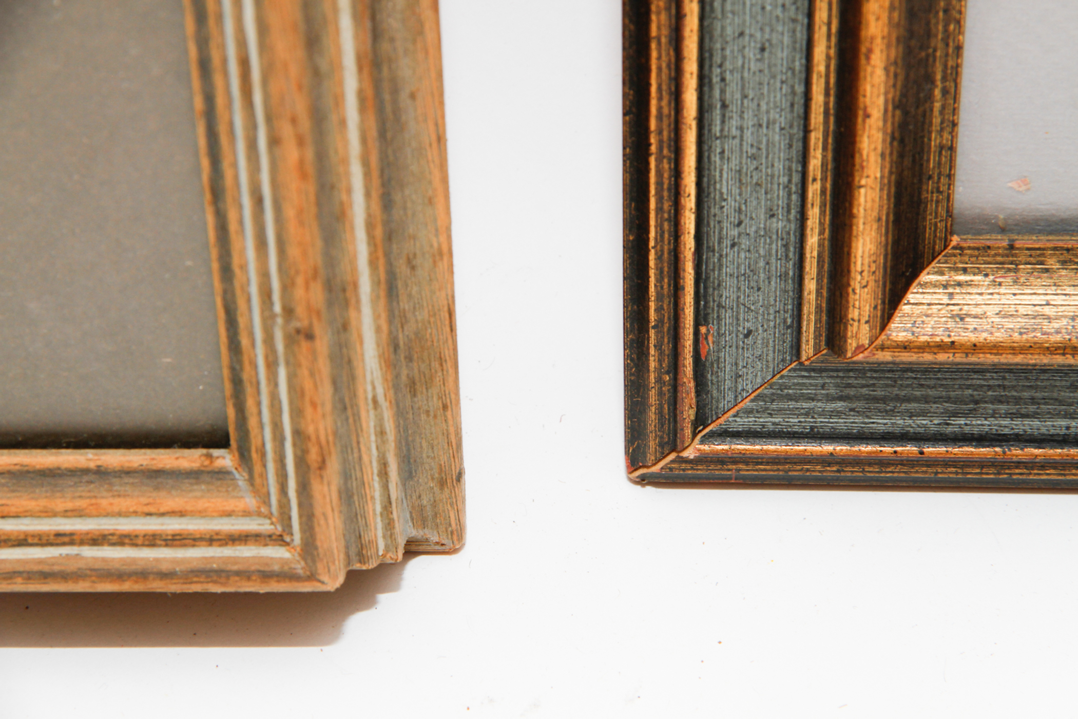 Pair of Wildlife Prints after Guy Coheleach