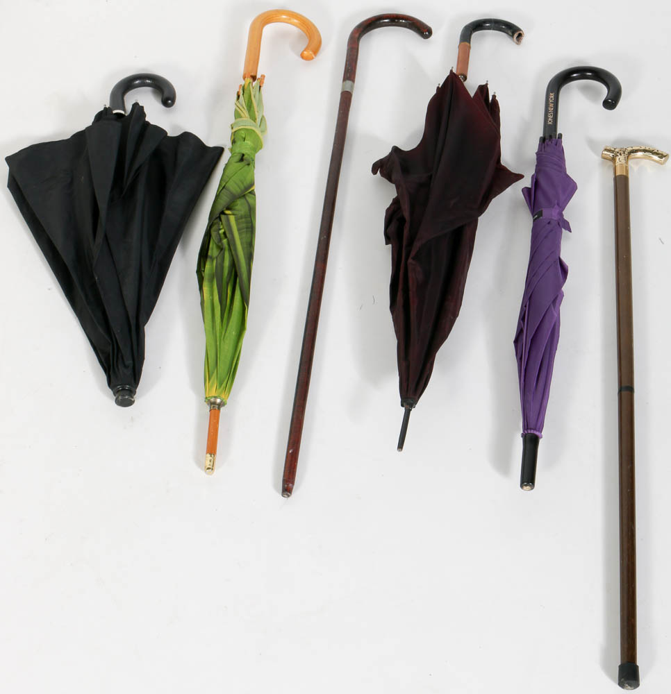 Holder with Umbrellas and Canes