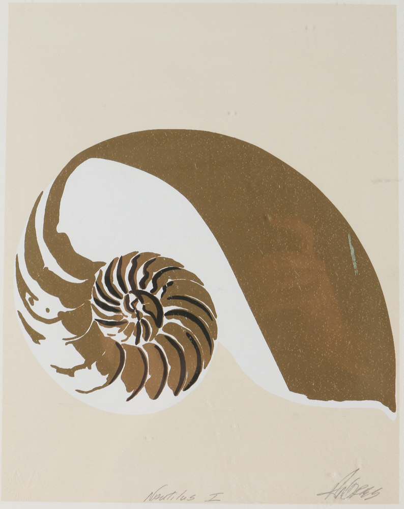 Nautilus Artwork
