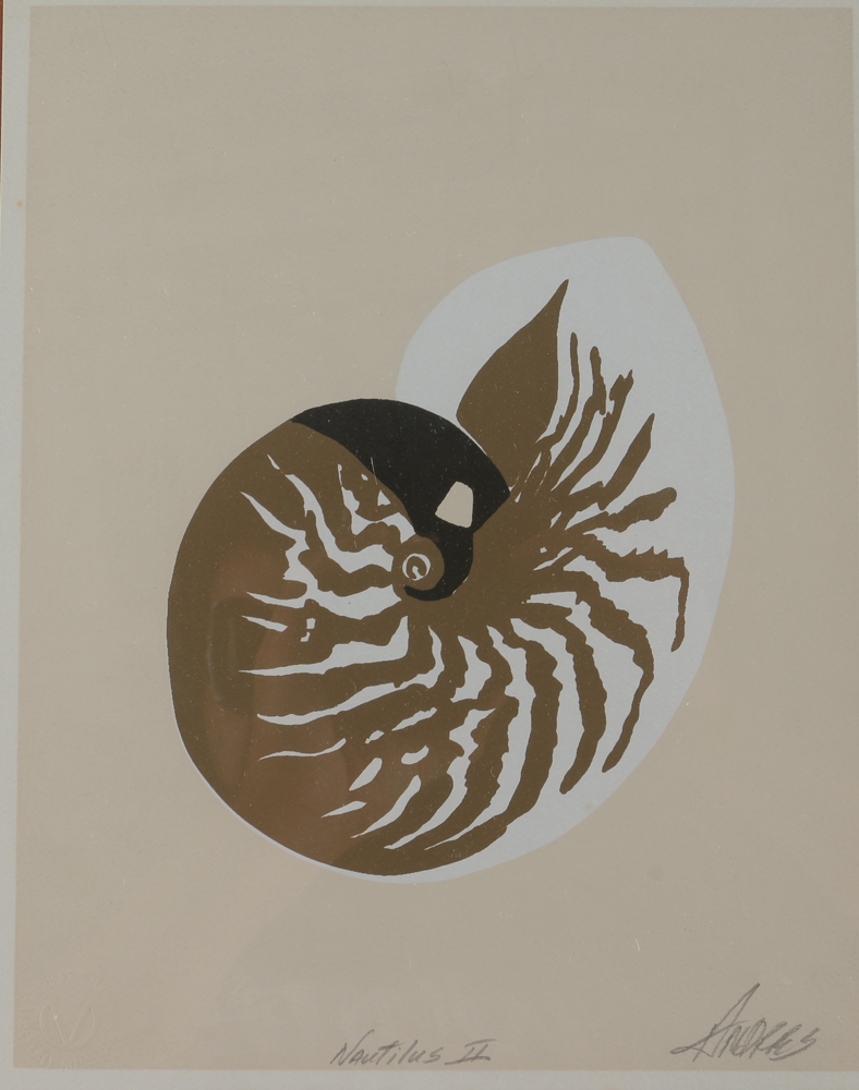 Nautilus Artwork