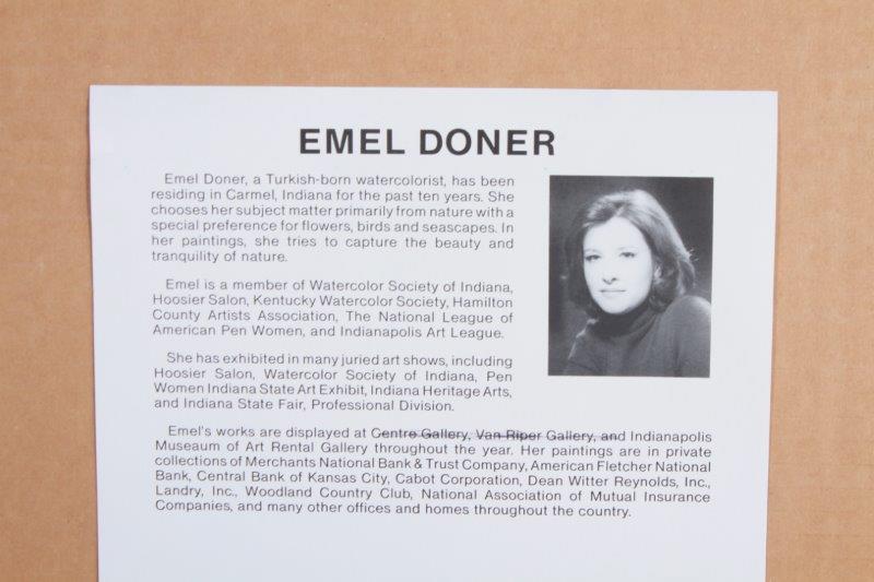 Emel Dōner Watercolor