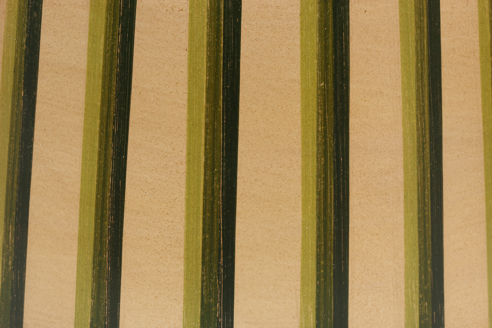 Pair of Striped Drum Lampshades